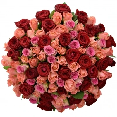 Kytice 100 míchaná ASTERRIA 50cm