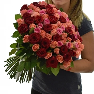 Kytice 100 míchaná ASTERRIA 50cm