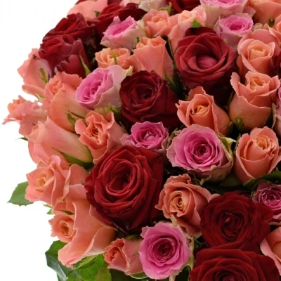 Kytice 100 míchaná ASTERRIA 50cm