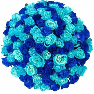 Míchaná kytice 100 modrých růží BLUE ADRIANA 60 cm