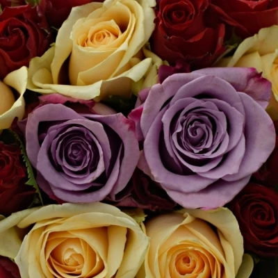 Kytice 100 míchaná BLUE AGATA 40cm