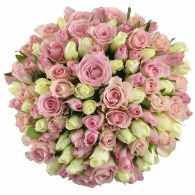 100 míchaných vícebarevných růží DENAE 40 cm v kytici