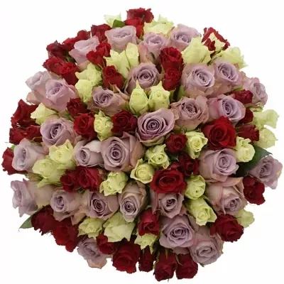 Kytice 100 míchaných růží DEVORA 60cm
