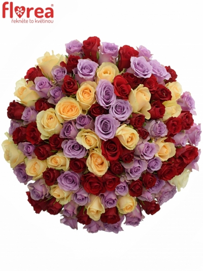 Kytica 100 miešaných ruží DEVORAH 50cm