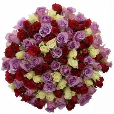 Míchaná kytice 100 vícebarevných růží DEVORIA 50 cm