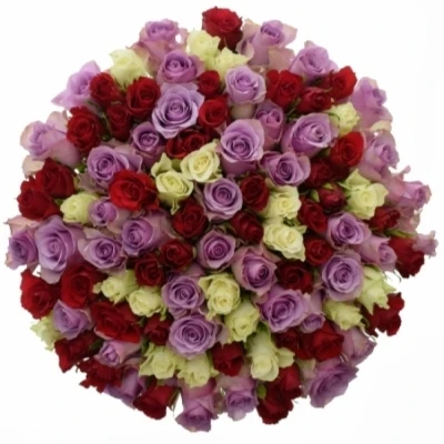 Kytice 100 míchaná DEVORIA 40cm