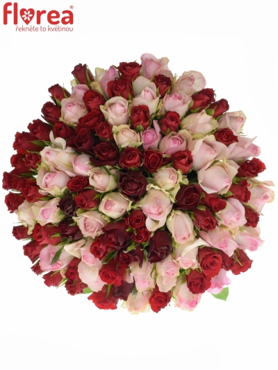 Kytice 100 míchaných růží DEVRIA 50cm