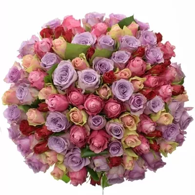 100 míchaných vícebarevných růží DOLORES 50 cm v kytici