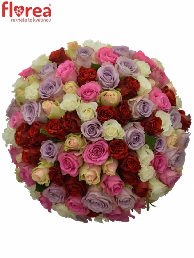 Kytica 100 miešaných ruží DOLORESS 40cm
