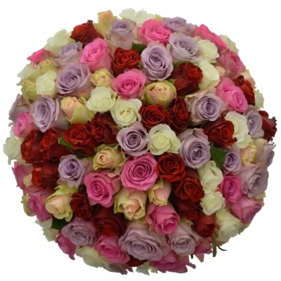 Kytice 100 míchaná DOLORESS 40cm