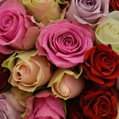 Kytice 100 míchaná DOLORESS 40cm