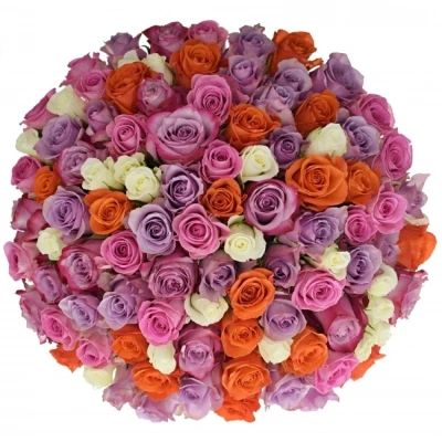 Kytice 100 míchaných růží DOLORRES 40cm