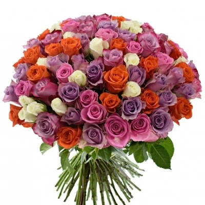 Kytice 100 míchaná DOLORRES