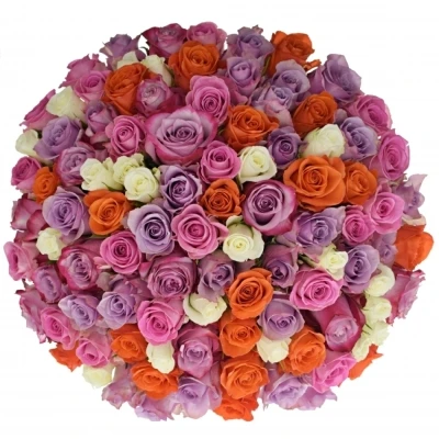 Kytice 100 míchaná DOLORRES