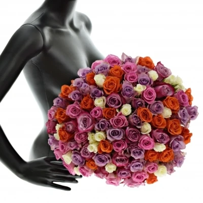 Kytice 100 míchaná DOLORRES