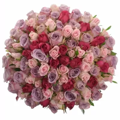 100 míchaných vícebarevných růží DONIA 45 cm v kytici