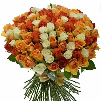 Kytice 100 míchaná Hamdi