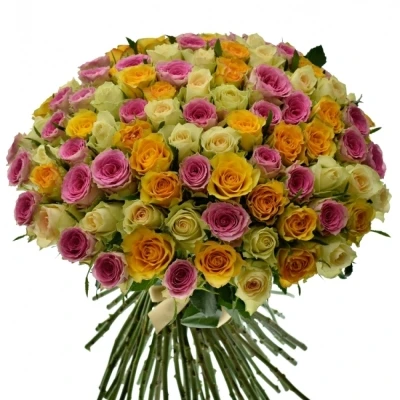 Kytice 100 míchaná Hasiel 50cm