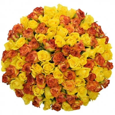 Kytice 100 míchaná JANNY 40cm