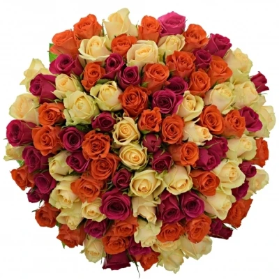 Kytice 100 míchaná KIMI CANDRA 50cm