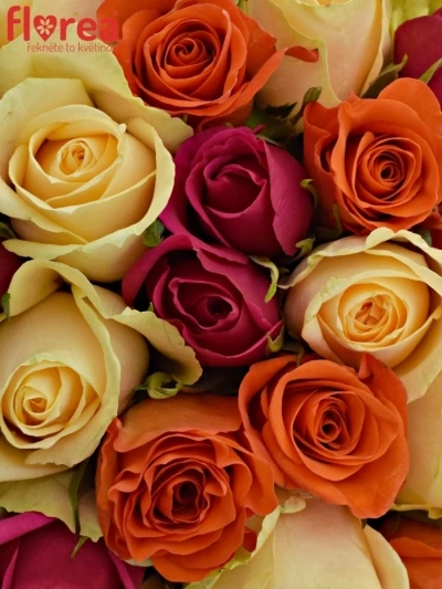 Kytice 100 míchaná KIMI CANDRA 50cm