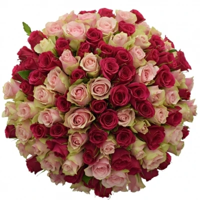 Kytice 100 míchaná LILA CANDRA 40cm