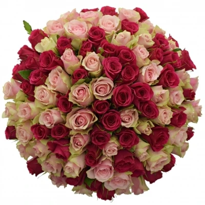 Kytice 100 míchaná LILA CANDRA 40cm