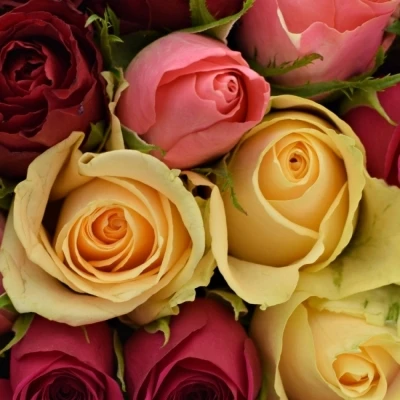 Kytice 100 míchaná LILA MELORA 50cm