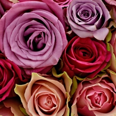 Kytice 100 míchaná LORIA 50cm