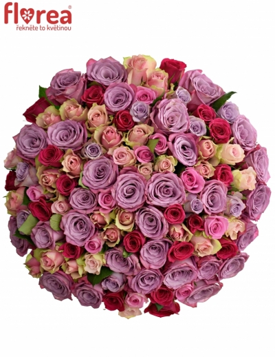 Kytice 100 míchaných růží LORIA 50cm