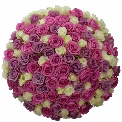 Kytica 100 miešaných ruží LORRIESS 40cm