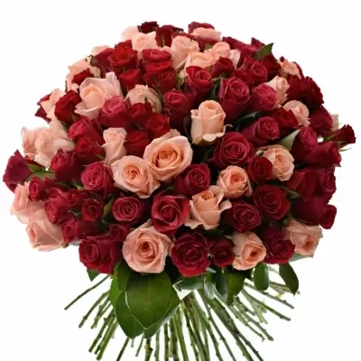 Kytice 100 míchaná Molly 40cm