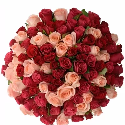 Kytice 100 míchaná Molly 40cm