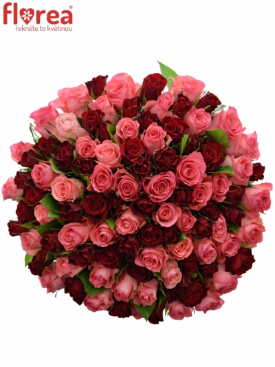 Kytice 100 míchaných růží NAUTICA 50cm