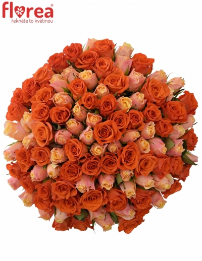 Kytice 100 míchaných růží ORANGE CANDRA 50cm