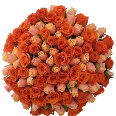 Kytice 100 míchaných růží ORANGE CANDRA 60cm
