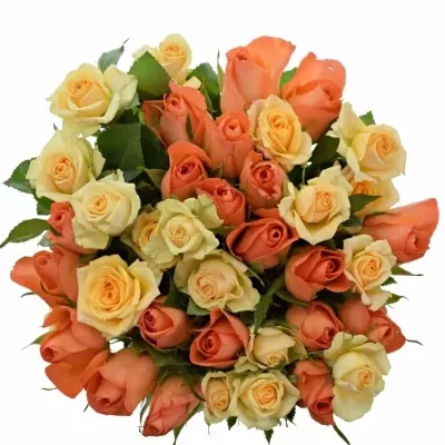 Míchaná kytice 35 ks ORANGE MATRIX 40 cm