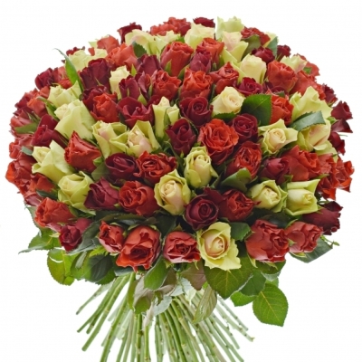 Kytice 100 míchaná RED RHODA 50cm