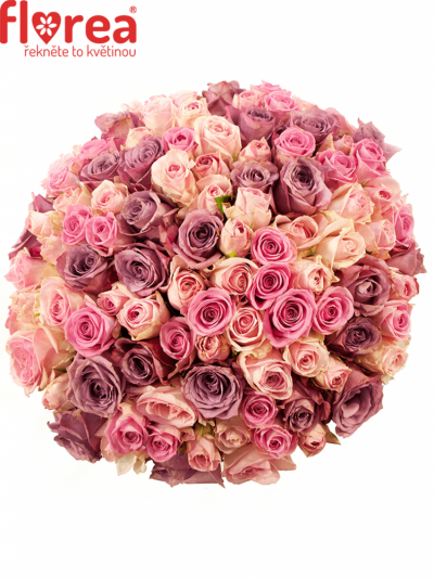 Kytice 100 míchaných růží RHEA 40cm