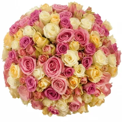 100 míchaných vícebarevných růží RITSA 50 cm v kytici