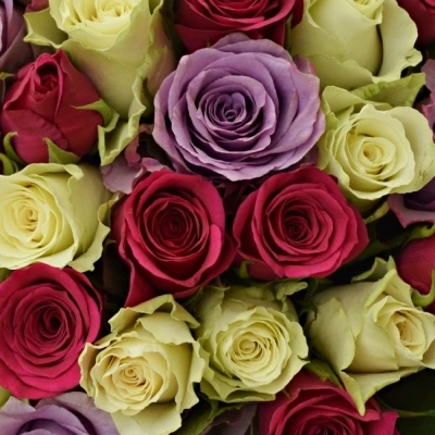 Kytice 100 míchaná RONI 50cm