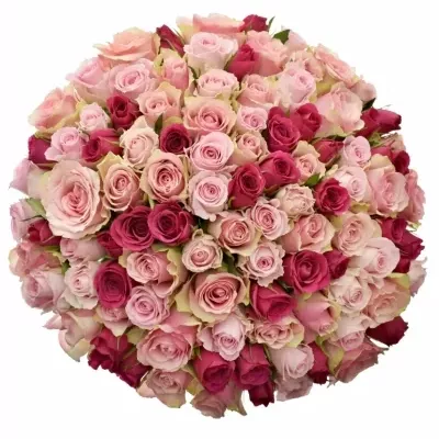 Míchaná kytice 100 ks SORIOSA 80 cm