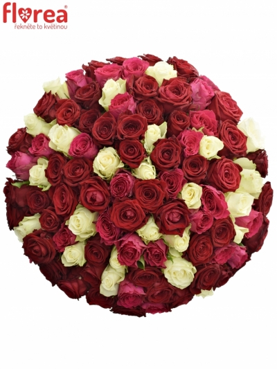Kytice 100 míchaných růží THIRA 60cm