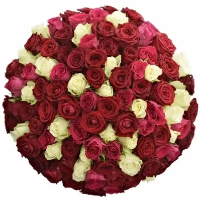 100 míchaných vícebarevných růží THIRA 50 cm v kytici
