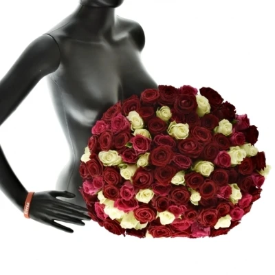 Kytice 100 míchaná THIRA