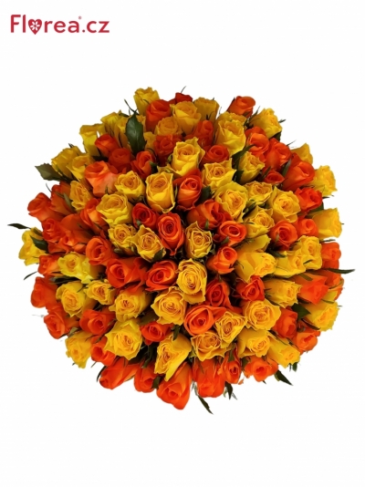 Kytice 100 míchaných růží ANISSA 50cm