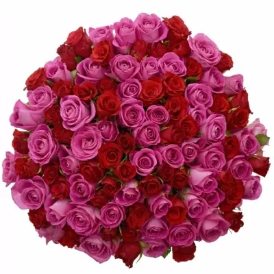 Kytice 100 míchaných růží ARRISA 50cm