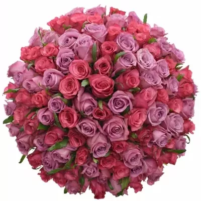 100 míchaných vícebarevných růží BENAYA 50 cm v kytici
