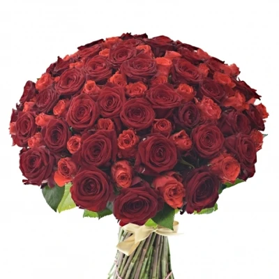 Kytice 100 míchaných růží BERENIKE 50cm