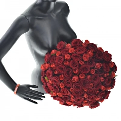 Kytice 100 míchaných růží BERENIKE 50cm